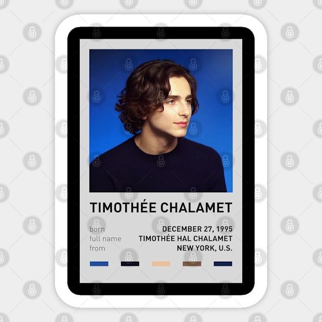 Timothée Chalamet Sticker by sinluz